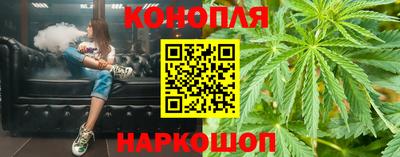 прущие грибы Краснодар