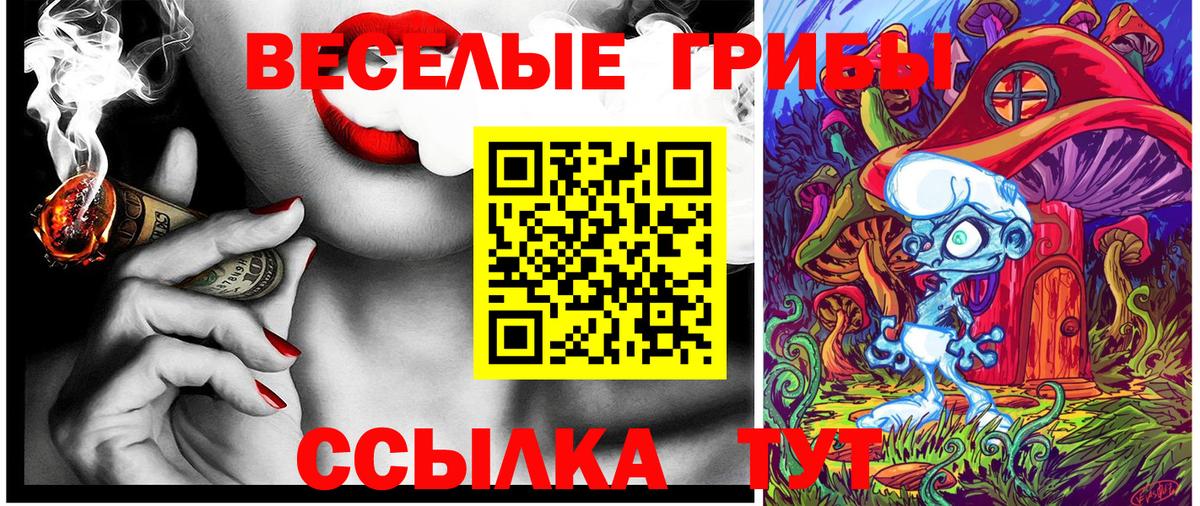 Псилоцибиновые грибы Psilocybine cubensis Ирбит