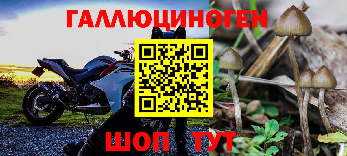 Галлюциногенные грибы MAGIC MUSHROOMS  Вход с VPN  Ирбит 